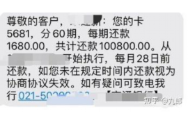 鹤城为什么选择专业追讨公司来处理您的债务纠纷？